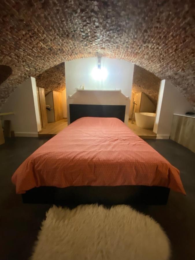 Au Beau Lieu De Metz Apartment Lille Ngoại thất bức ảnh
